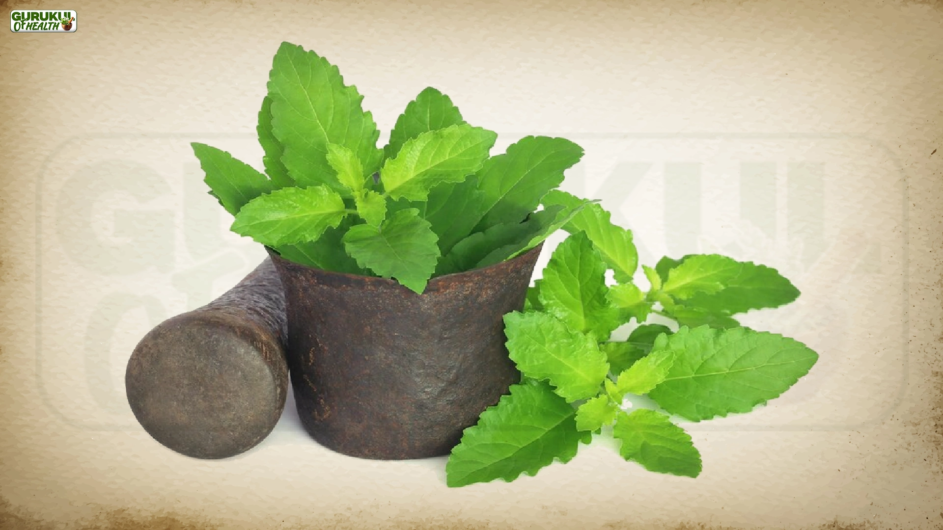 Khushhaal Jeevan Ka Sach: Harvard की 85 वर्षों की स्टडी से मिली सीख